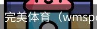 完美体育（wmsports)官方网站